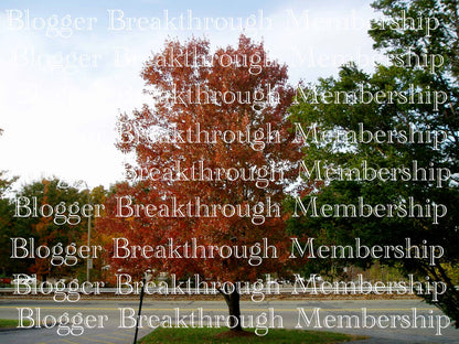 A photo of a tree with the words Fall Themed Stock Photos (set of 9)! from the Blogger Breakthrough Summit.