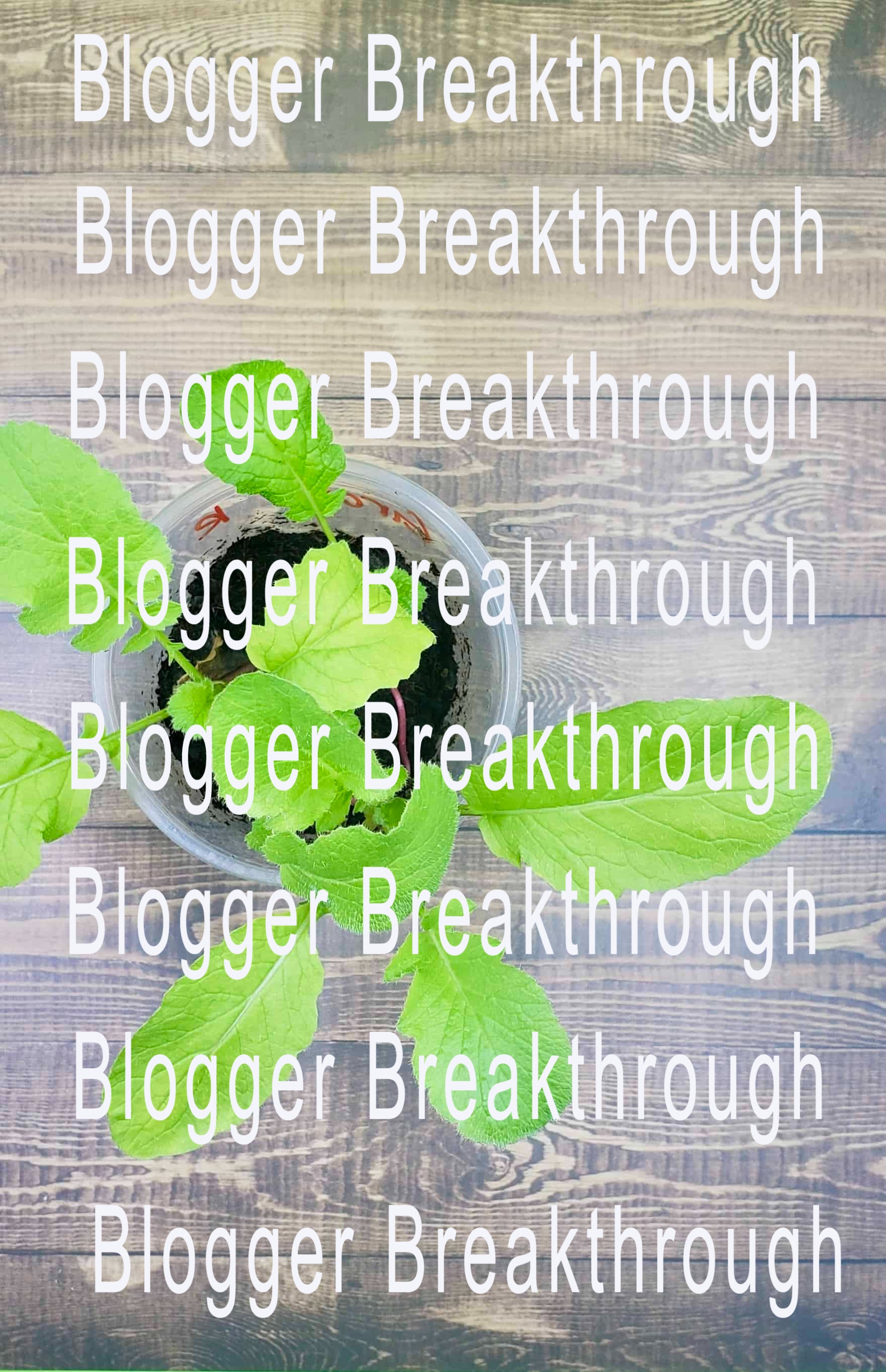 A pot with a plant and the words Blogger Breakthrough Summit through Blogger Breakthrough Summit.