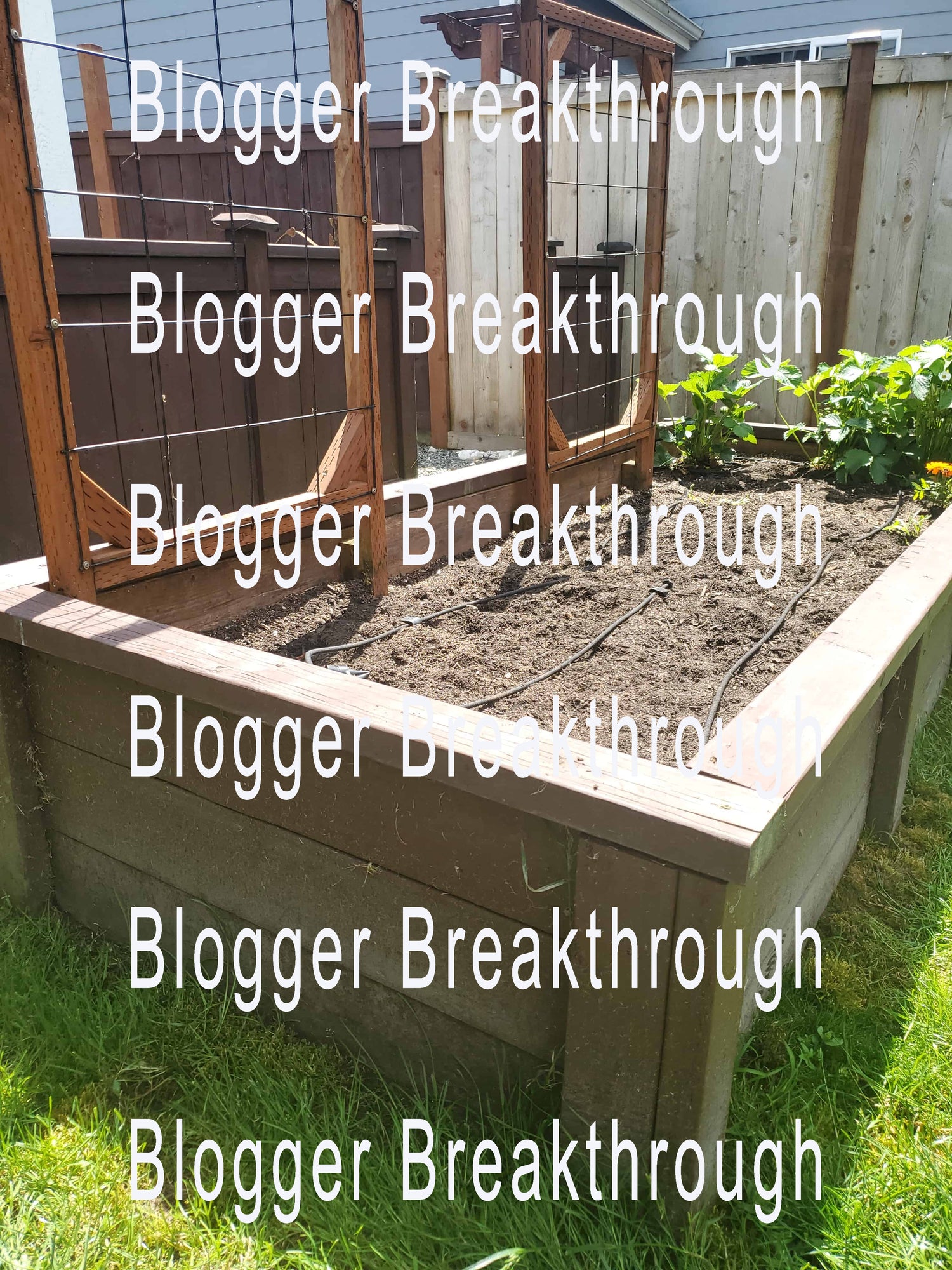 A wooden raised garden bed with the brand name Blogger Breakthrough Summit featuring the product named Food, Cooking, and Gardening Themed Stock Photos.