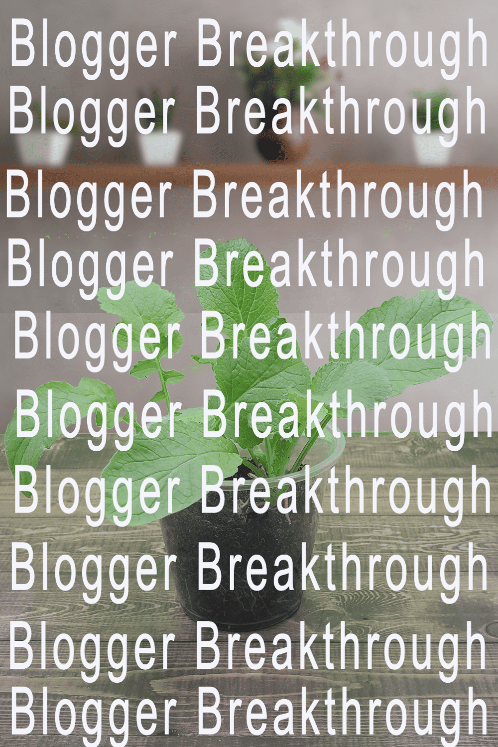 A photo of a potted plant with the words Blogger Breakthrough Summit through Blogger Breakthrough Summit.