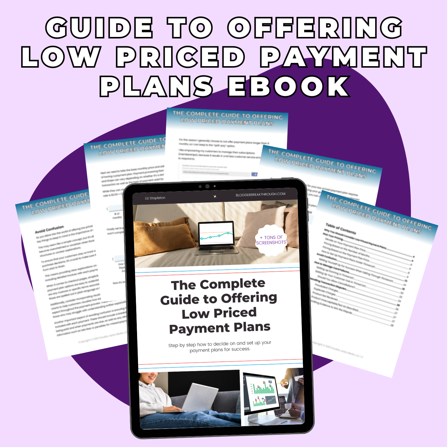 The Blogger Breakthrough Summit ebook, &quot;The Complete Guide to Offering Low Priced Payment Plans in Your Business.