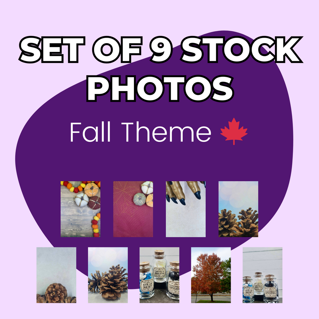 Set of 9 Fall Themed Stock Photos by Blogger Breakthrough Summit.