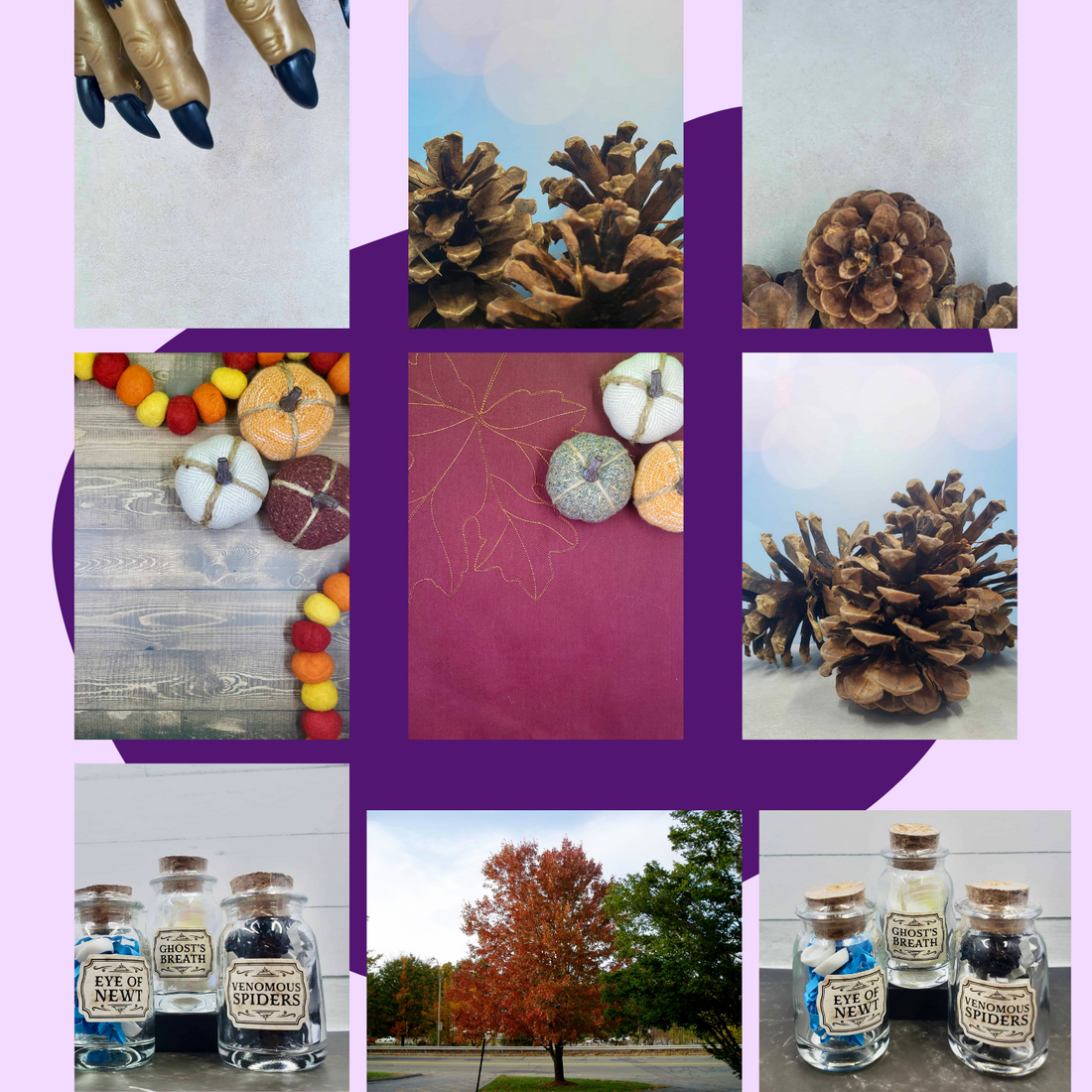 A collage of pictures with Fall Themed Stock Photos (set of 9) and pinecones by Blogger Breakthrough Summit.